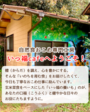 【有機米】【原種・雄町米】4毒抜き100％発芽玄米パン『白食パン』卵・乳・小麦・砂糖・油・添加物不使用！の美味しさと優しさにこだわった生米パン！