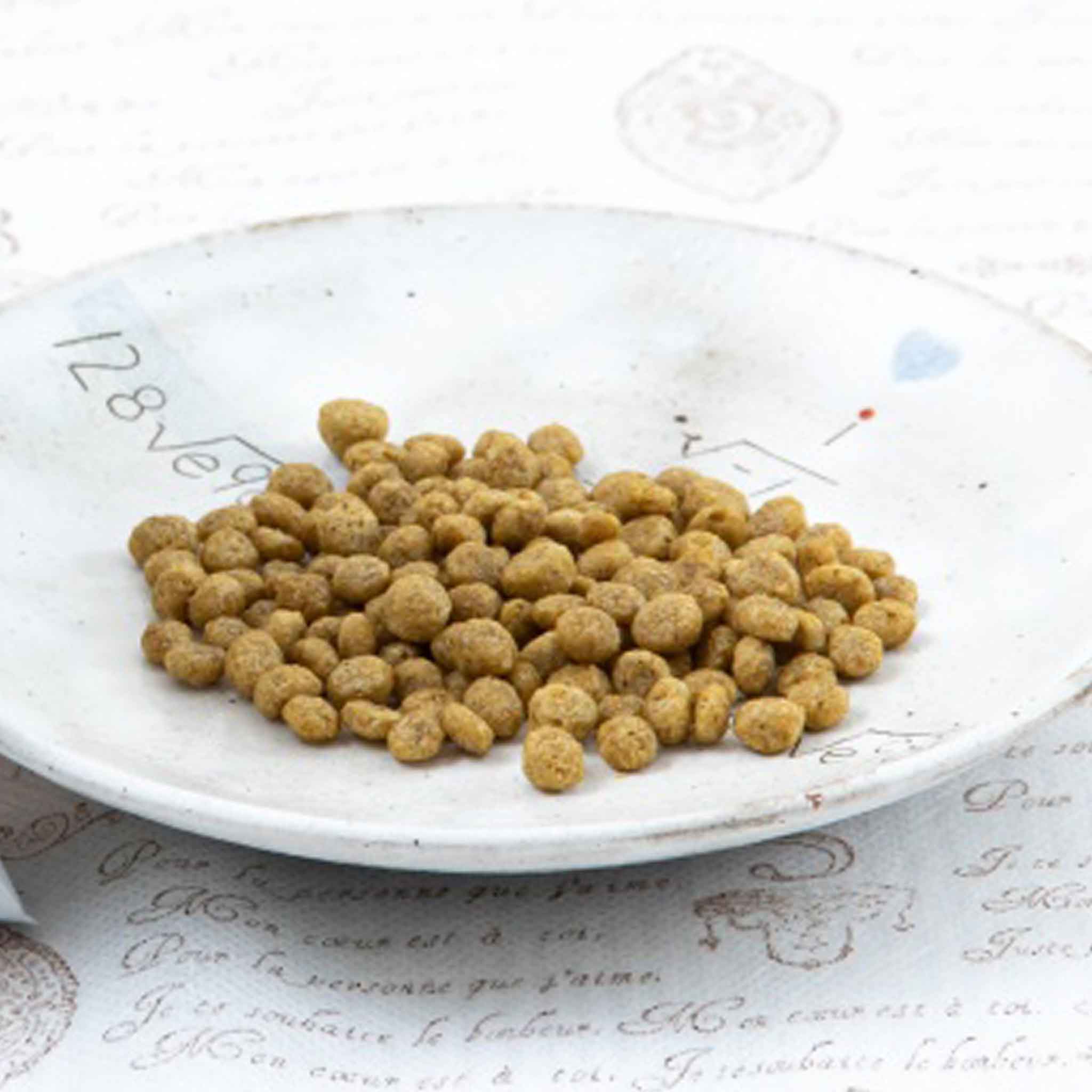 アレルギー対応【Vプラネット】カイカイわんちゃんに！ヴィーガン